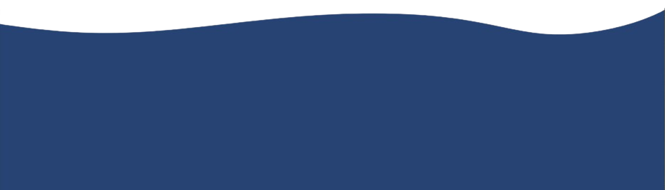 footer-wave